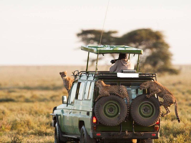 Masai maraa reserve